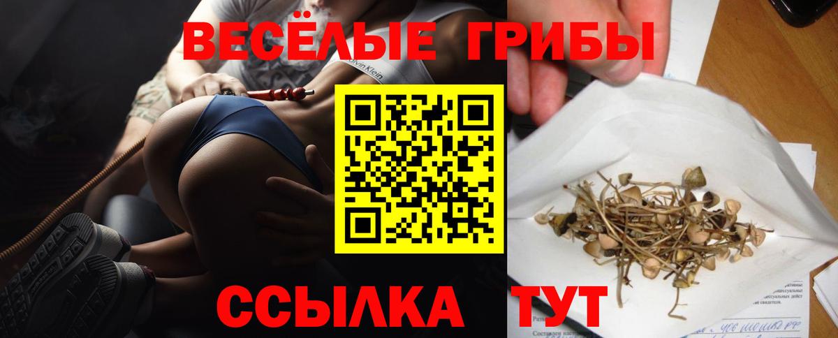 Осинники  Галлюциногенные грибы MAGIC MUSHROOMS  Вход с VPN  Галлюциногенные грибы GOLDEN TEACHER 